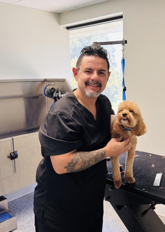 Cesar , Groomer Cesar , Groomer